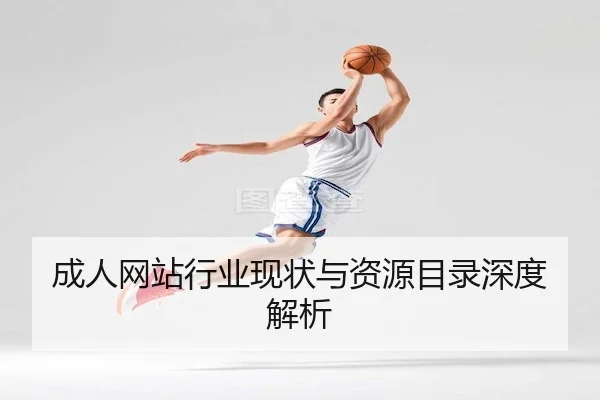 成人网站行业现状与资源目录深度解析